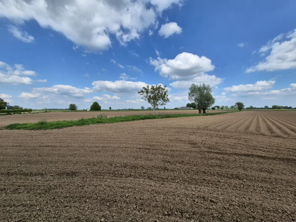 Agrarisch landschap bij Breukink vóór aanleg van de natuurvriendelijke oever